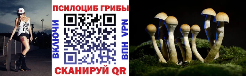 закладки Рузаевка Галлюциногенные грибы Psilocybe